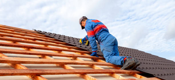 Best Asphalt Shingles Roofing  in Temple Hills, MD