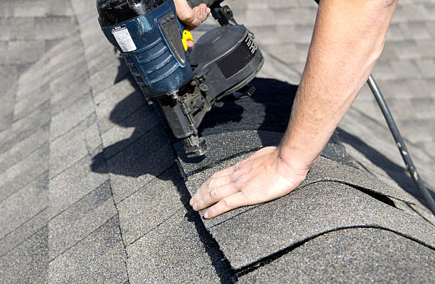 Best Roof Moss and Algae Removal  in Temple Hills, MD